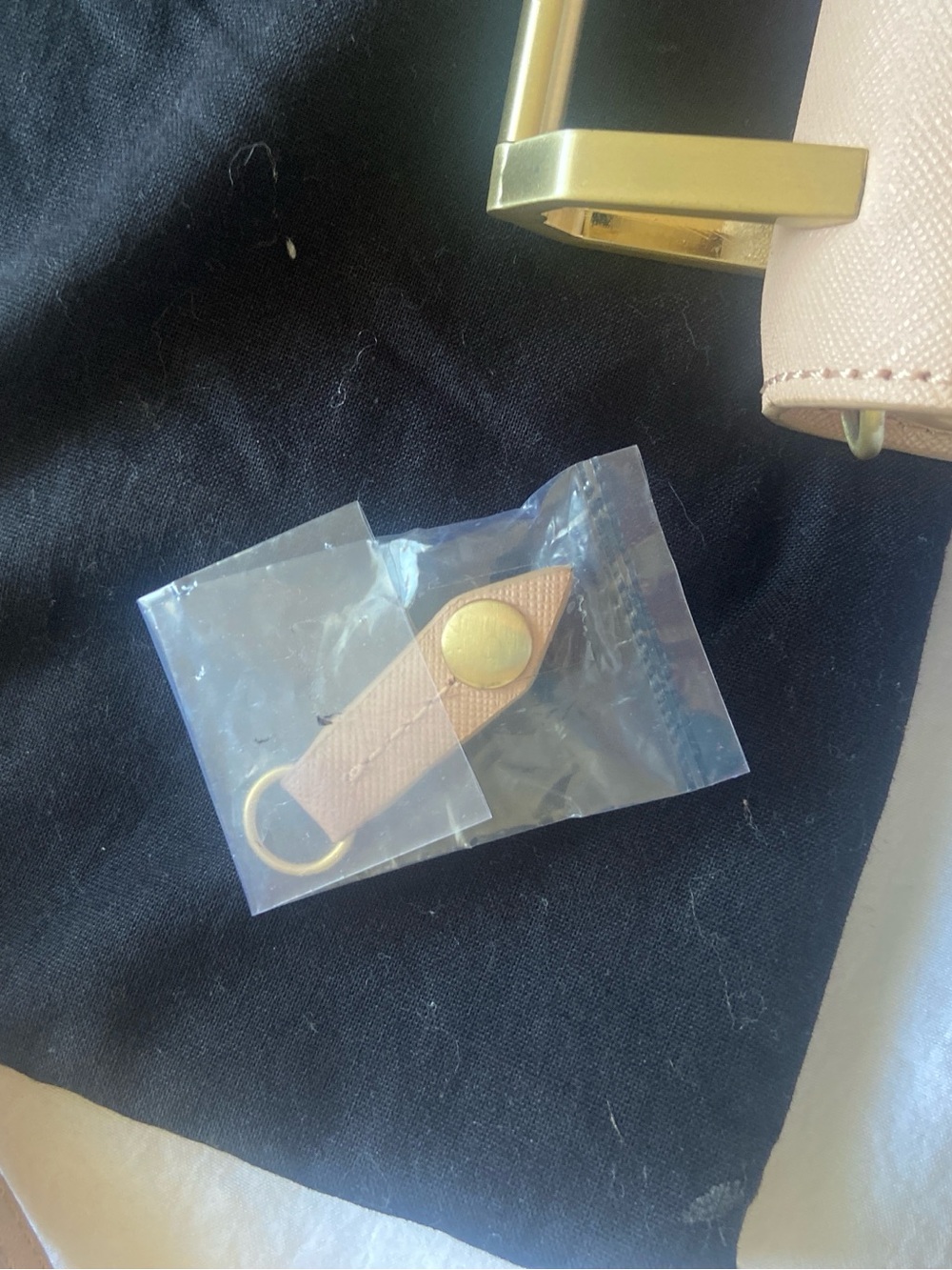 Botkier Nude Blush Leather Crossbody with Gold Hardware - Picture 7 of 9